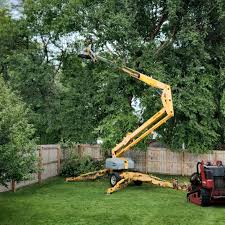 Best Lawn Drainage Solutions  in Prices Fork, VA