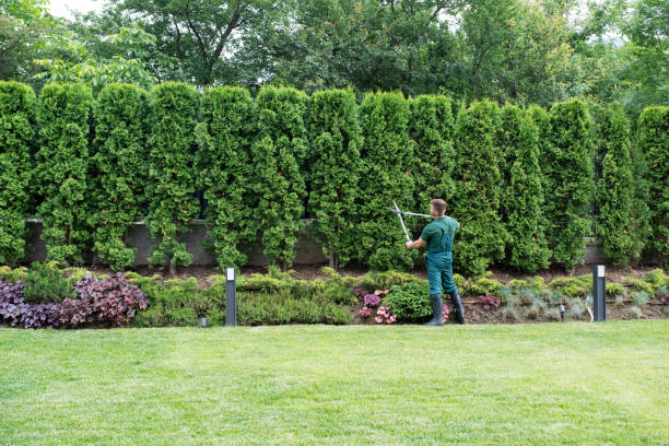 Best Lawn Irrigation Installation and Maintenance  in Prices Fork, VA