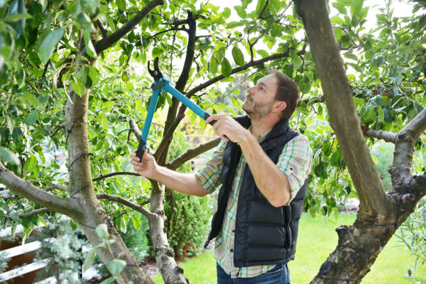 Best Hedge Trimming  in Prices Fork, VA
